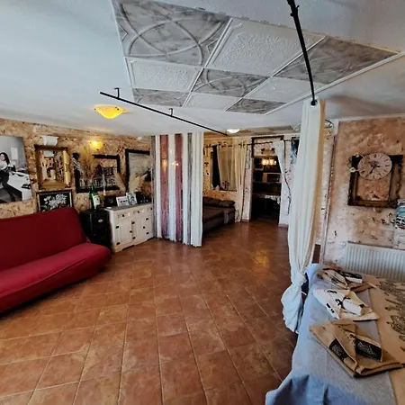 Georgina With Cats Opric