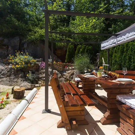 Georgina With Cats Opric