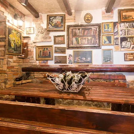 Georgina With Cats Opric