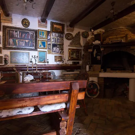 Georgina With Cats Vilă Opric