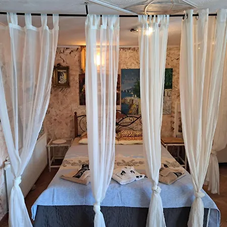 Georgina With Cats *