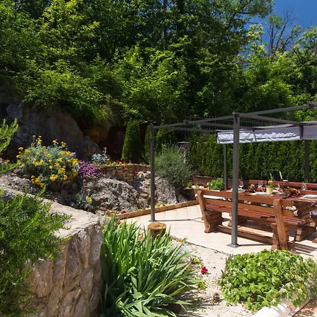 Georgina With Cats Vilă